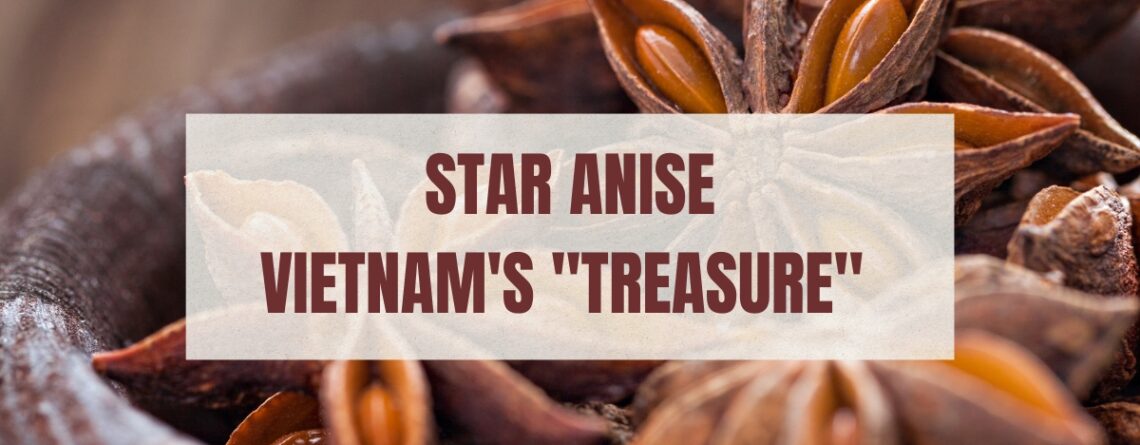 Vietnamese-star-anise