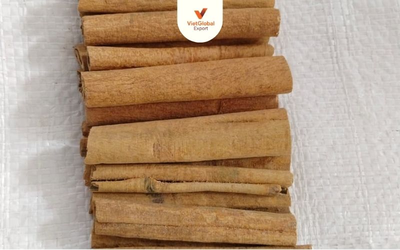 Cigarette Cassia