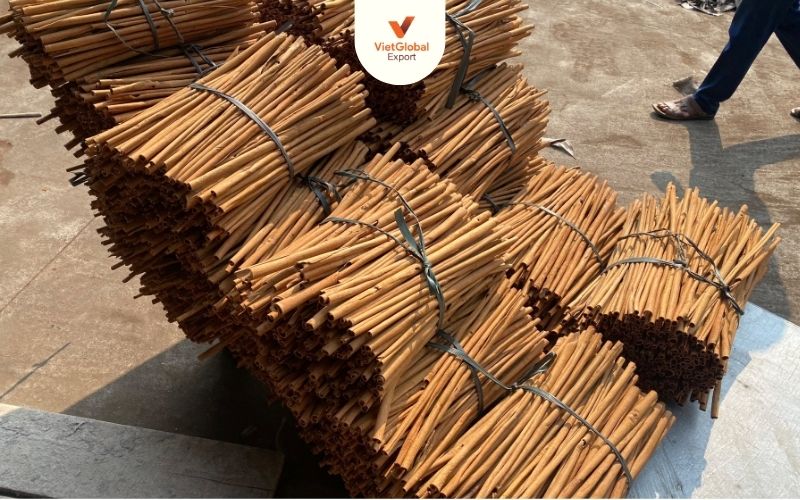 Stick cassia