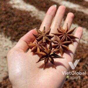 autumn-star-anise