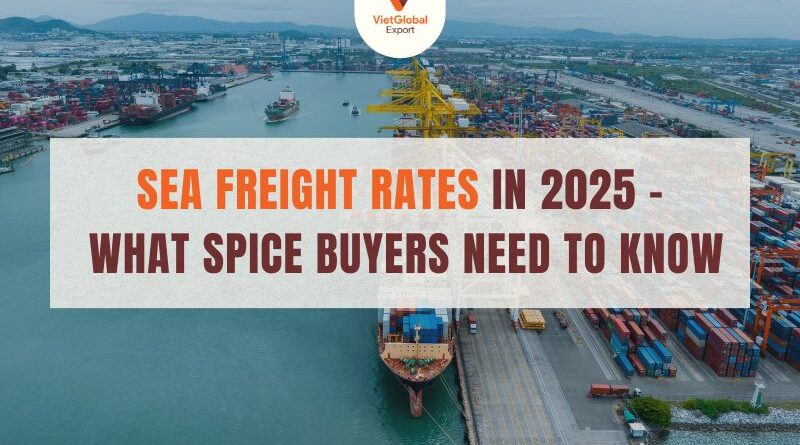 sea-freight-rates-2025