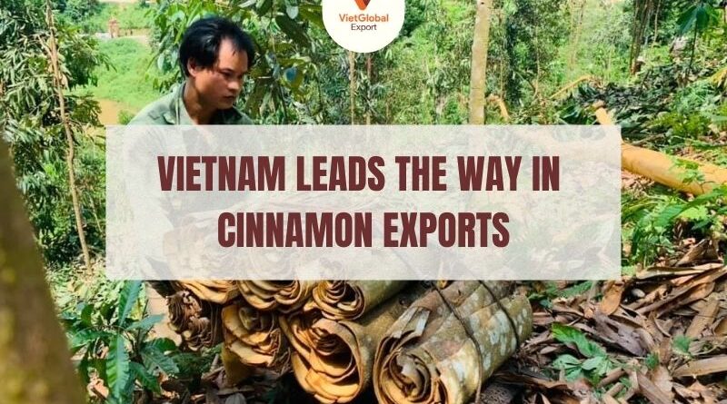 vietnam-cinnamon