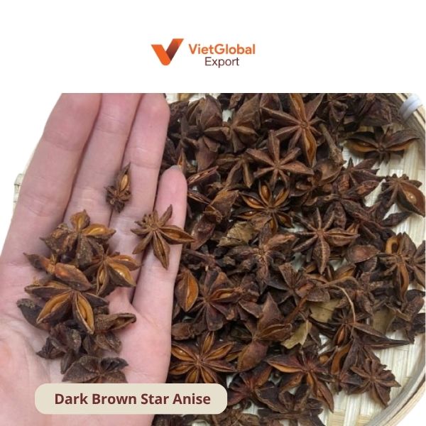 Dark Brown Star Anise