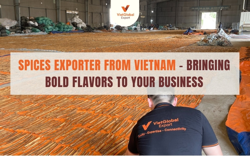 Spices Exporter from Vietnam – Bringing Bold Flavors to Your Business