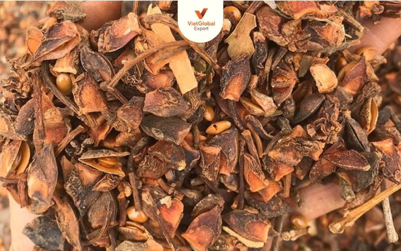Broken Star Anise