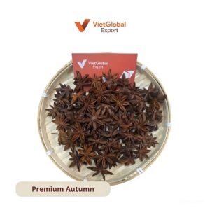 Autumn Star Anise