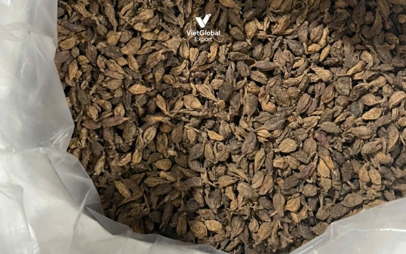 long black cardamom pod