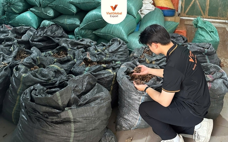 packing black cardamom