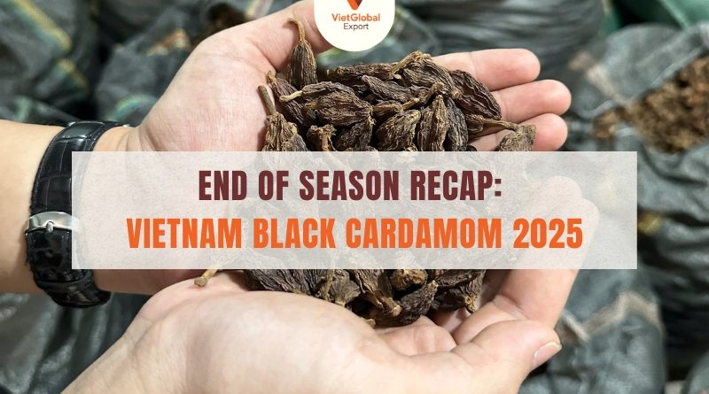 Vietnam Black Cardamom Vietglobal Export