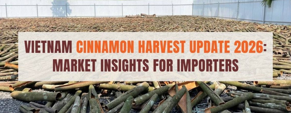 Vietnam cinnamon harvest in Lao Cai during the early Spring season