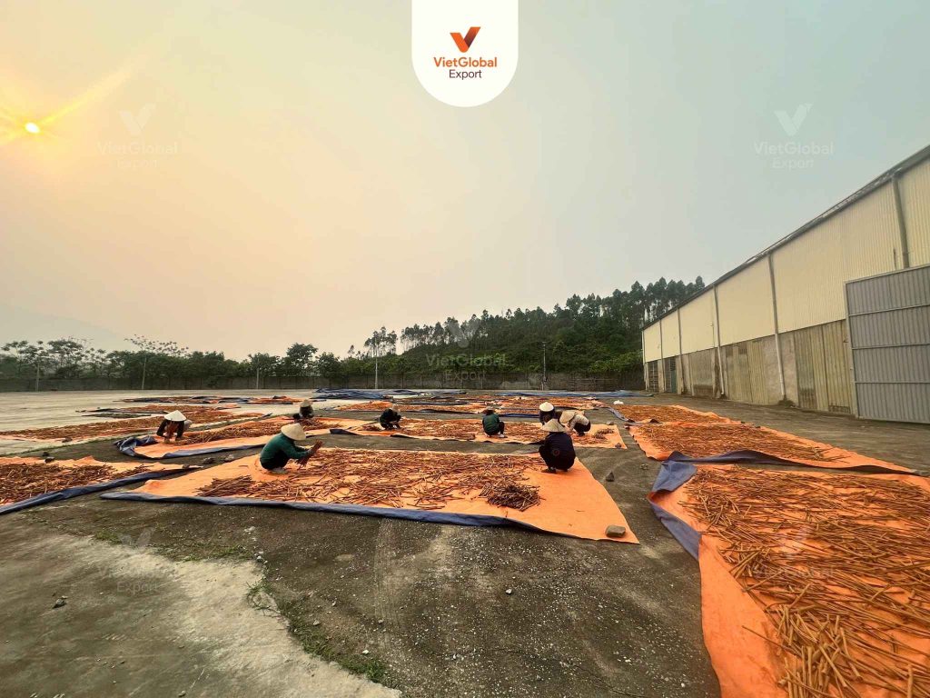 cinnamon stick drying