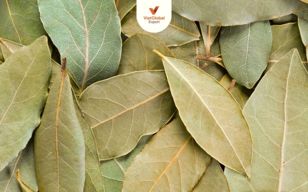 Bay leaf