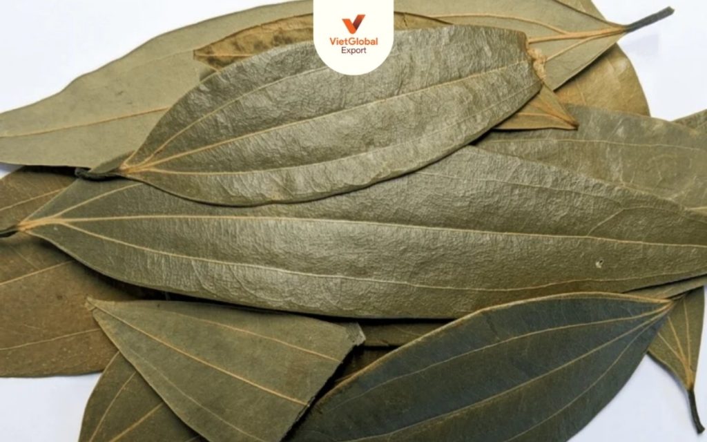 Indian bay leaf Tej patta