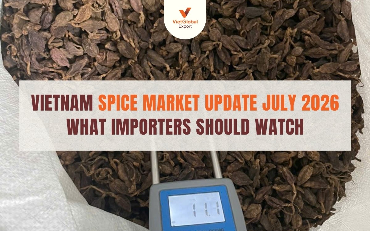 Vietnam spice market July 2026