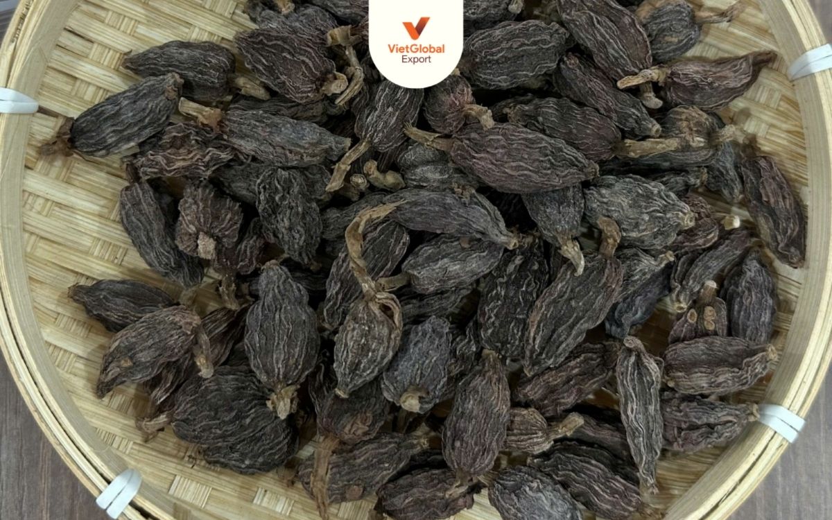 Amomum tsao-ko Vietnam cardamom