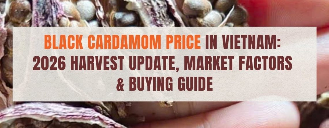 black cardamom price