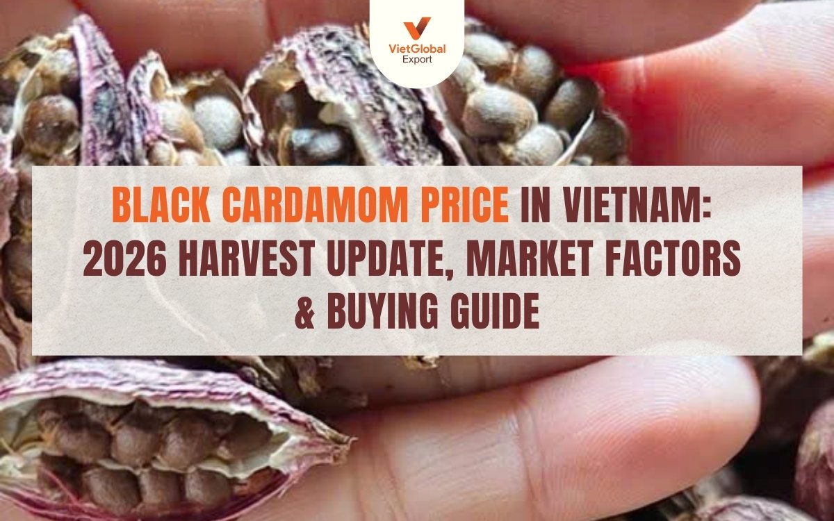 black cardamom price