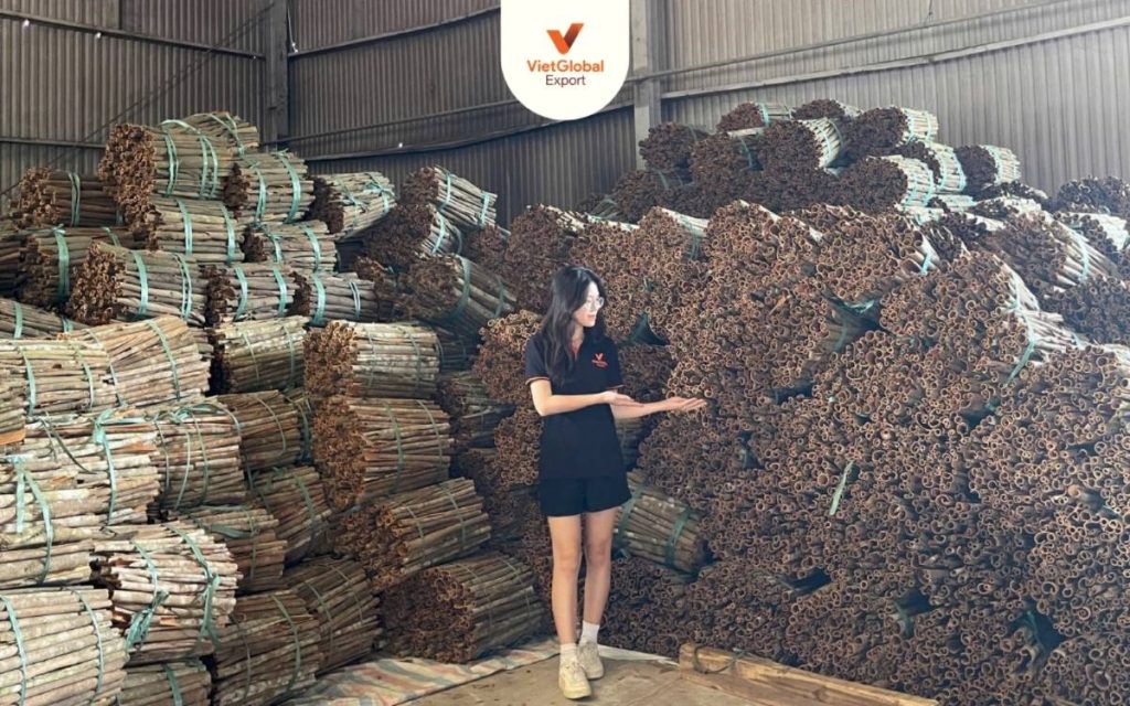 split cassia material