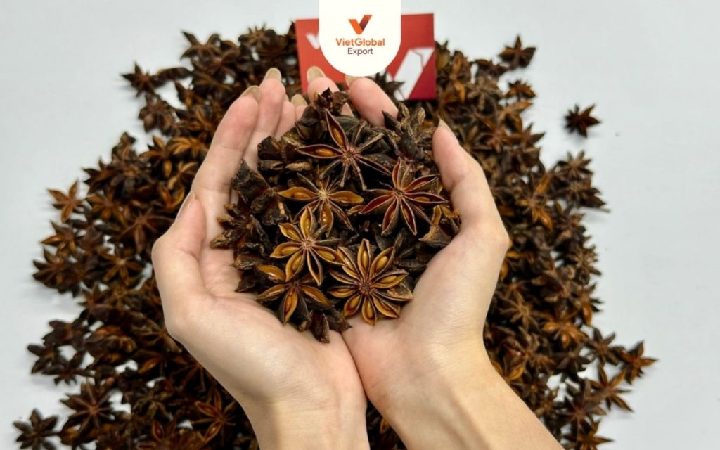 autumn star anise