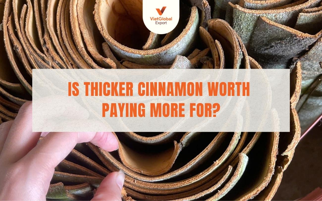 cinnamon bark thickness price